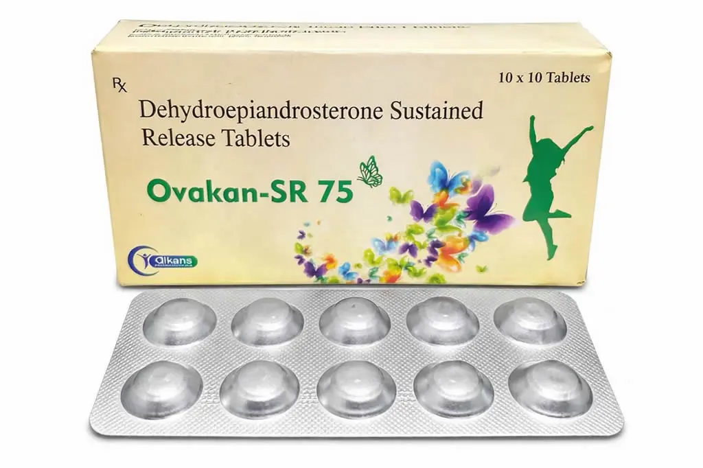 WhatsApp Image 2026-04-08 at 1.57.08 PM (2)